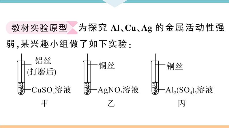 人教版九年级化学下册安徽习题讲评课件同步练习八单元金属和金属材料5实验突破一金属活动性顺序的探究第2页