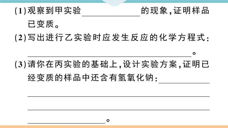 人教版九年级化学下册安徽习题讲评课件同步练习十一单元盐化肥专题三碱变质的实验探究03