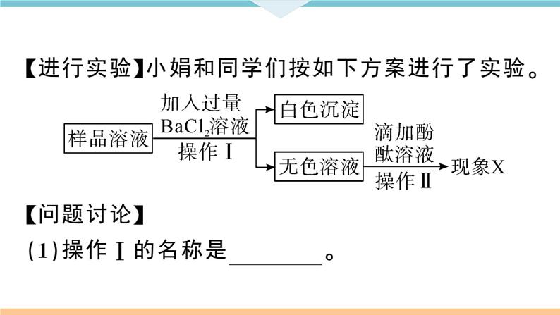 人教版九年级化学下册安徽习题讲评课件同步练习十一单元盐化肥专题三碱变质的实验探究05