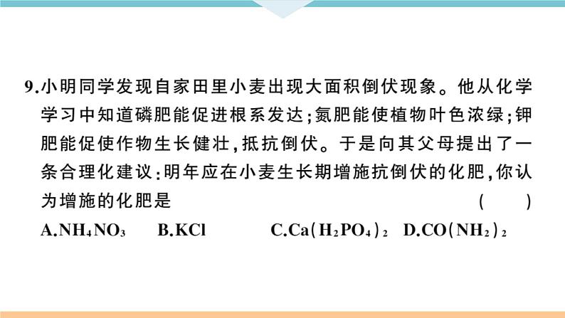 人教版九年级化学下册河南习题讲评课件阶段检测5十二单元检测卷第6页