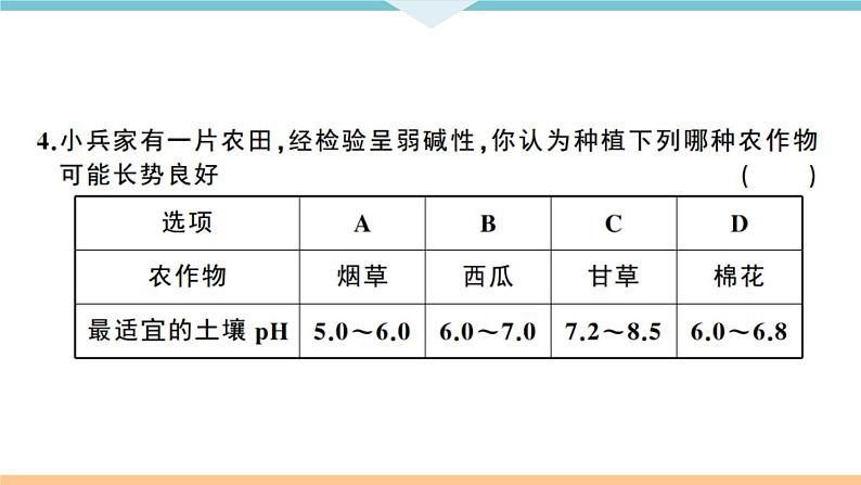 初三人教版九年级化学下册江西同习题讲评课件阶段检测十单元检测卷第4页