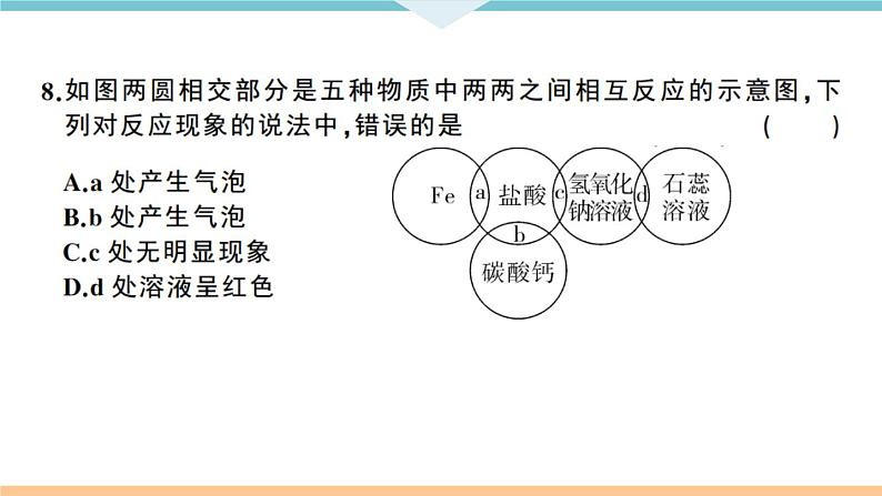 初三人教版九年级化学下册江西同习题讲评课件阶段检测十单元检测卷第8页