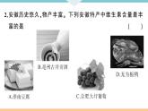 人教版九年级化学下册安徽习题讲评课件阶段检测十二单元检测卷