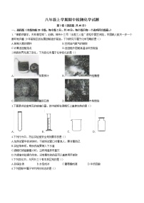 山东省泰安市新泰市2022-2023学年八年级上学期期中化学试题（含答案）