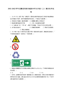 2021-2022学年安徽省阜阳市城南中学九年级（上）期末化学试卷（含答案解析）