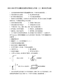 2021-2022学年安徽省合肥市庐阳区九年级（上）期末化学试卷（含答案解析）