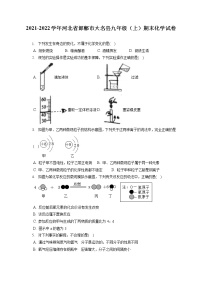 2021-2022学年河北省邯郸市大名县九年级（上）期末化学试卷（含答案解析）