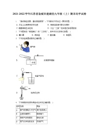 2021-2022学年江苏省盐城市建湖县九年级（上）期末化学试卷（含答案解析）