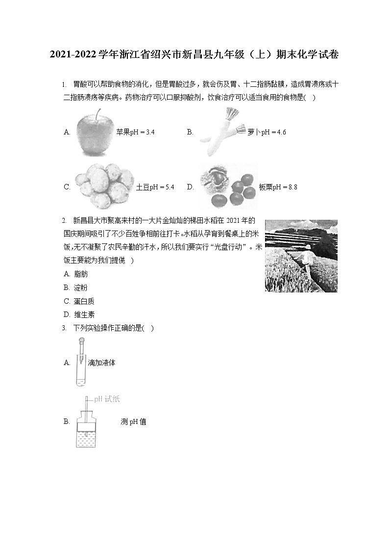 2021-2022学年浙江省绍兴市新昌县九年级（上）期末化学试卷（含答案解析）01