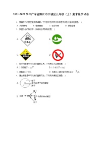 2021-2022学年广东省阳江市江城区九年级（上）期末化学试卷（含详细答案解析）