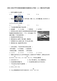 2021-2022学年河南省洛阳市汝阳县九年级（上）期末化学试卷（含详细答案解析）