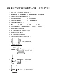 2021-2022学年河南省漯河市郾城区九年级（上）期末化学试卷（含详细答案解析）