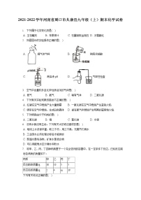 2021-2022学年河南省周口市太康县九年级（上）期末化学试卷（含详细答案解析）