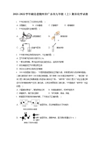 2021-2022学年湖北省随州市广水市九年级（上）期末化学试卷（含详细答案解析）