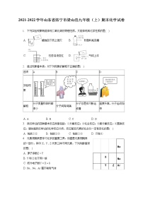 2021-2022学年山东省济宁市梁山县九年级（上）期末化学试卷（含详细答案解析）