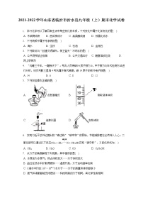 2021-2022学年山东省临沂市沂水县九年级（上）期末化学试卷（含详细答案解析）