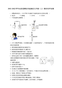 2021-2022学年山东省潍坊市滨海区九年级（上）期末化学试卷（含详细答案解析）