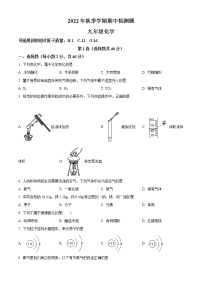 广西河池市都安县民族实验初级中学2022-2023学年九年级上学期期中化学试题(含答案)