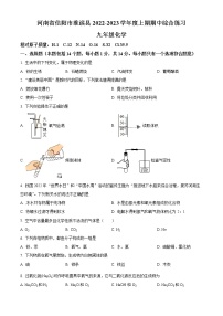 河南省信阳市淮滨县2022-2023学年九年级上学期期中化学试题(含答案)