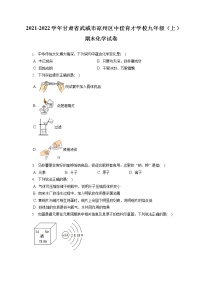 2021-2022学年甘肃省武威市凉州区中佳育才学校九年级（上）期末化学试卷（含答案解析）