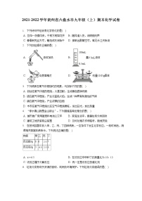 2021-2022学年贵州省六盘水市九年级（上）期末化学试卷（含答案解析）