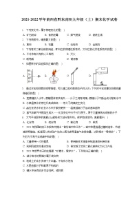 2021-2022学年贵州省黔东南州九年级（上）期末化学试卷（含答案解析）