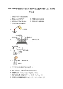 2021-2022学年黑龙江省大庆市林甸县五校九年级（上）期末化学试卷（含答案解析）