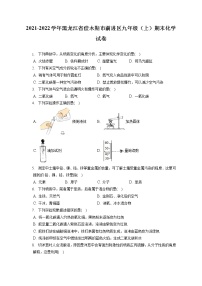 2021-2022学年黑龙江省佳木斯市前进区九年级（上）期末化学试卷（含答案解析）