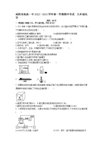 陕西省咸阳市高新一中2022-2023学年九年级上学期期中考试化学试题（含答案）