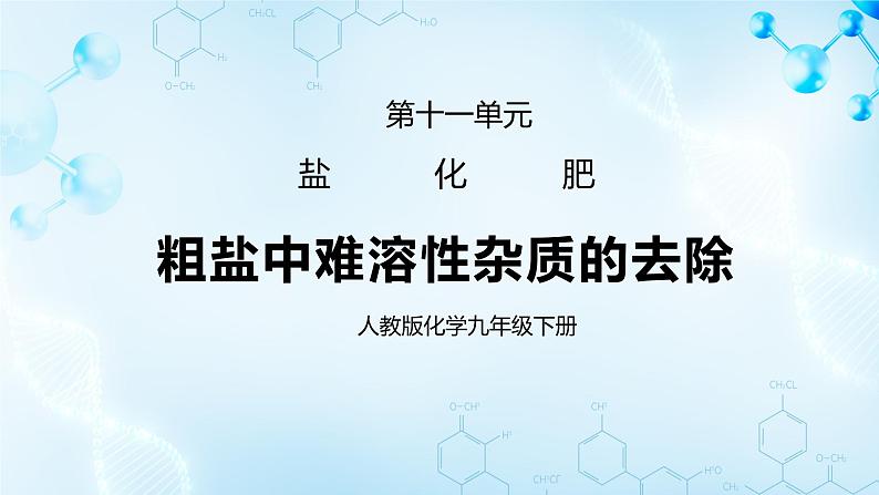 试验活动8 《粗盐中难溶性杂质的去除》课件01