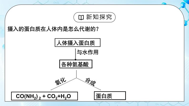 课题1《人类重要的营养物质》课件第6页