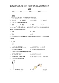 陕西省商洛市丹凤县2021-2022学年九年级上学期期末化学试题(含答案)