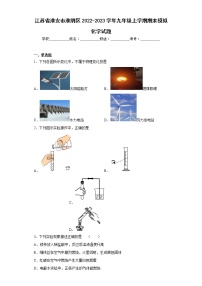 江苏省淮安市淮阴区2022-2023学年九年级上学期期末模拟化学试题(含答案)