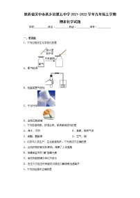 陕西省汉中市西乡县第五中学2021-2022学年九年级上学期期末化学试题(含答案)