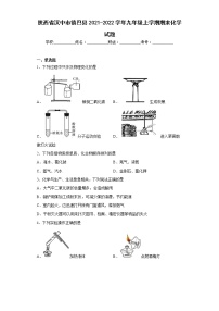 陕西省汉中市镇巴县2021-2022学年九年级上学期期末化学试题(含答案)