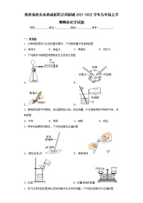 陕西省西安市西咸新区泾河新城2021-2022学年九年级上学期期末化学试题(含答案)