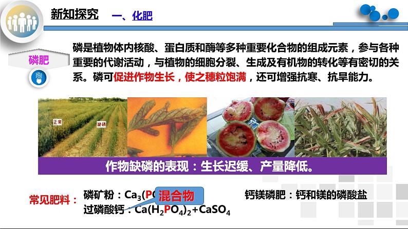 课题2《化学肥料》课件PPT第7页