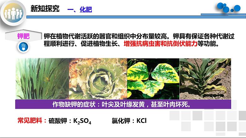 课题2《化学肥料》课件PPT第8页