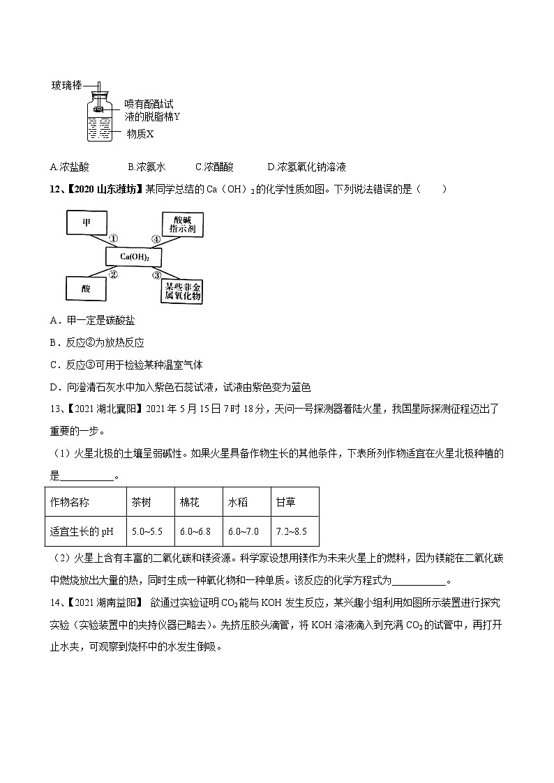 专题07 常见的酸和碱（专题精练）-【满分之路】 中考化学一轮复习精讲精练(全国通用)（原卷版）第3页