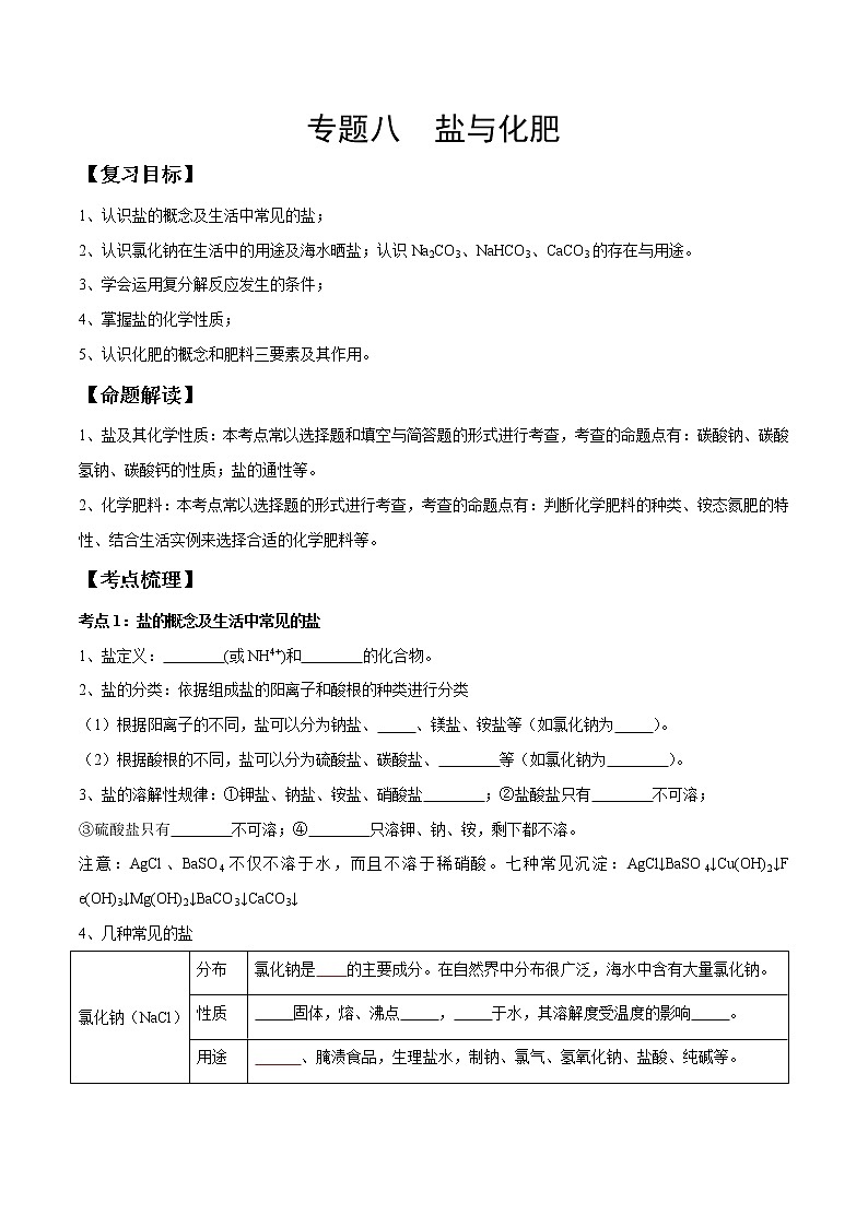 专题08 盐与化肥（考点精讲word版）-【满分之路】 中考化学一轮复习精讲精练(全国通用)（原卷版）第1页