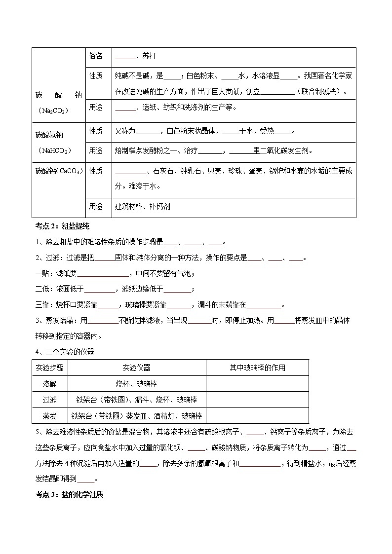 专题08 盐与化肥（考点精讲word版）-【满分之路】 中考化学一轮复习精讲精练(全国通用)（原卷版）第2页