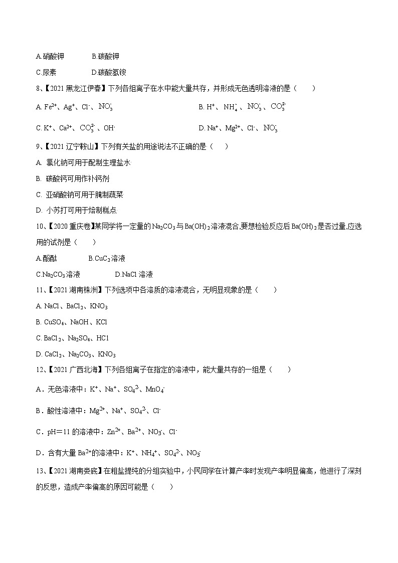 专题08 盐与化肥（专题精练）-【满分之路】 中考化学一轮复习精讲精练(全国通用)（原卷版）第2页