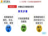 2022秋人教版化学9年级上册第一单元 走进化学世界 课题2 化学是一门以实验为基础的科学