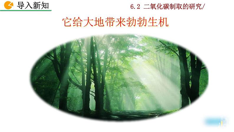 2022秋人教版化学9年级上册第六单元 碳和碳的氧化物 课题2 二氧化碳制取的研究第2页