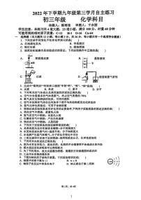 湖南省长沙市雅礼实验中学2022-2023学年九年级上学期第三次月考化学试卷