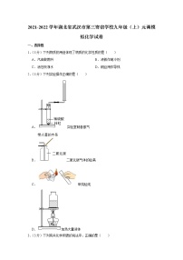 2021-2022学年湖北省武汉市第三寄宿学校九年级（上）元调模拟化学试卷