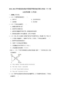 2021-2022学年湖北省武汉外国语学校美加分校九年级（下）收心化学试卷（2月份）