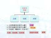 人教版初中 九年级化学 下册 第十单元 课题1  常见的酸和碱教案+课件