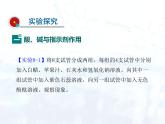 人教版初中 九年级化学 下册 第十单元 课题1  常见的酸和碱教案+课件