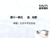 人教版初中 九年级化学 下册 第十一单元 课题1  生活中常见的盐教案+课件